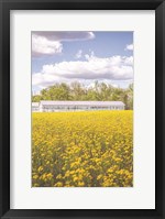 Field of Yellow I Fine Art Print
