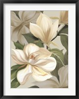 Magnolia Blossoms I Fine Art Print