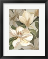 Magnolia Blossoms I Framed Print