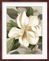 Magnolia Blossoms II Fine Art Print