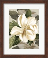 Magnolia Blossoms II Fine Art Print