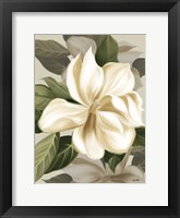 Magnolia Blossoms II Fine Art Print