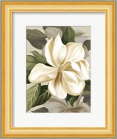 Magnolia Blossoms II Fine Art Print