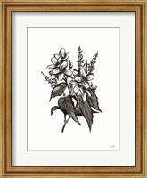 Pen and Ink Wildflower I Fine Art Print