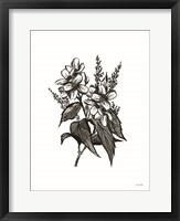 Pen and Ink Wildflower I Fine Art Print