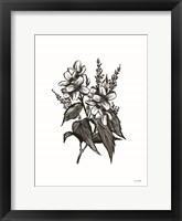 Pen and Ink Wildflower I Framed Print