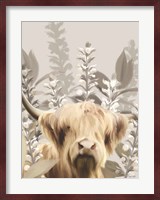 Hairy Highland in the Field Fine Art Print