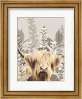 Hairy Highland in the Field Fine Art Print
