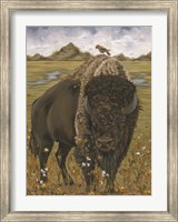 Bison Fine Art Print