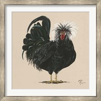 Chicken Fine Art Print