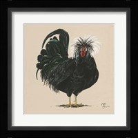 Chicken Fine Art Print