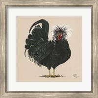 Chicken Fine Art Print