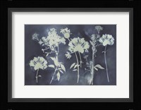 Faint Memories Fine Art Print