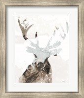 Elk Impression 2 Fine Art Print