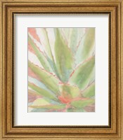Succulent Bloom 1 Fine Art Print