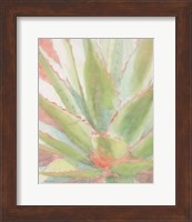 Succulent Bloom 1 Fine Art Print
