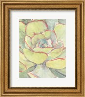 Succulent Bloom 2 Fine Art Print