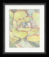 Succulent Bloom 2 Fine Art Print