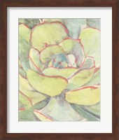Succulent Bloom 2 Fine Art Print