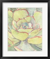 Succulent Bloom 2 Fine Art Print