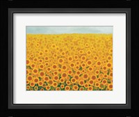 Field of Sunflowers Fine Art Print