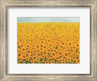 Field of Sunflowers Fine Art Print