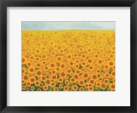 Field of Sunflowers Fine Art Print