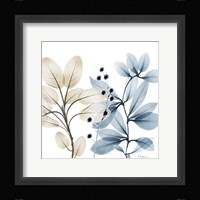 Solar Opposites 1 Framed Print