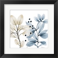 Solar Opposites 1 Fine Art Print