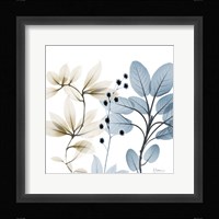 Solar Opposites 2 Framed Print