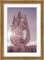 Dusty Desert Saguaro Fine Art Print
