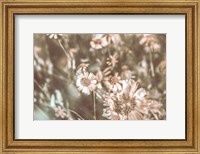 Flower Power Fine Art Print