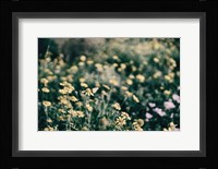 Field Friends Fade Framed Print