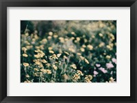 Field Friends Fade Fine Art Print