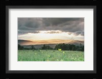 Laying in the Flowers Fine Art Print