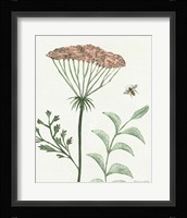 Springtime III Warm Framed Print