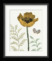 Springtime II Warm Framed Print