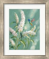 Hummingbird Spring II Fine Art Print