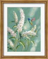 Hummingbird Spring II Fine Art Print