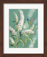 Hummingbird Spring II Fine Art Print