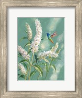 Hummingbird Spring II Fine Art Print