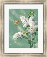 Hummingbird Spring I Fine Art Print