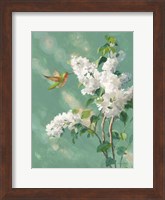 Hummingbird Spring I Fine Art Print