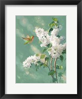 Hummingbird Spring I Fine Art Print