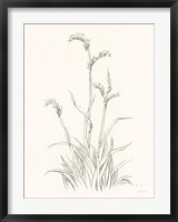 Farm Nostalgia Flowers V Dark Gray Fine Art Print