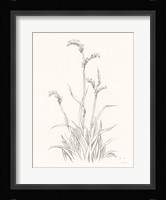 Farm Nostalgia Flowers V Dark Gray Framed Print