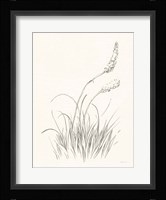 Farm Nostalgia Flowers IV Dark Gray Framed Print
