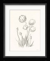 Farm Nostalgia Flowers II Dark Gray Framed Print