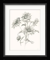 Farm Nostalgia Flowers I Dark Gray Framed Print