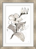 Magnolia II Fine Art Print